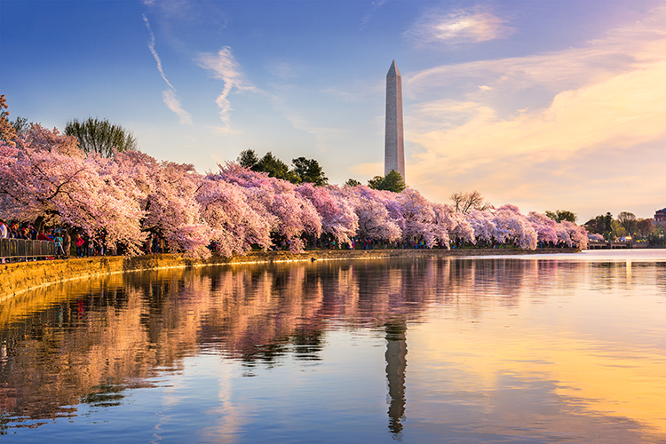washington-dc